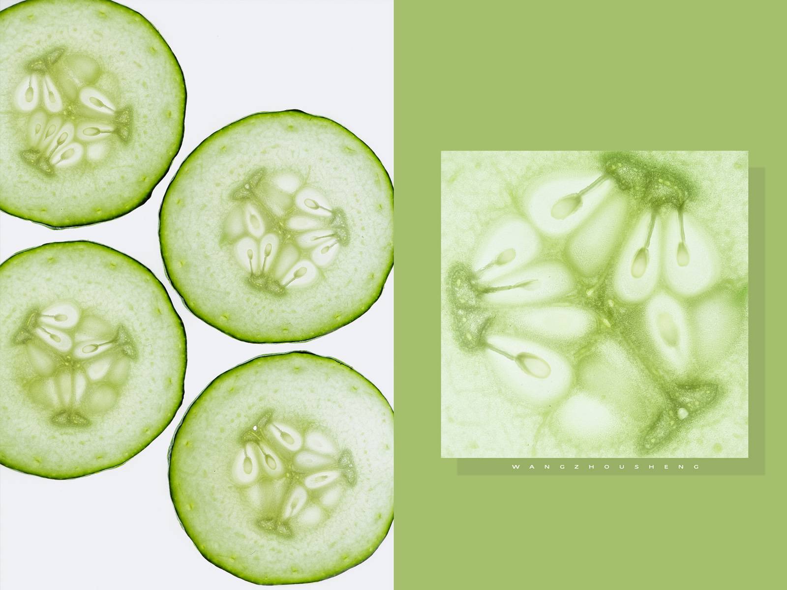 黄瓜4.jpg